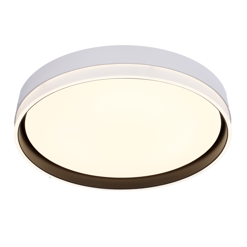 LED Stropné svietidlo FLORIDA LED/24W/230V biela