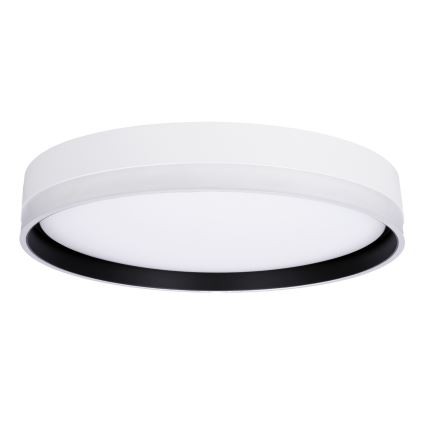 LED Stropné svietidlo FLORIDA LED/24W/230V biela