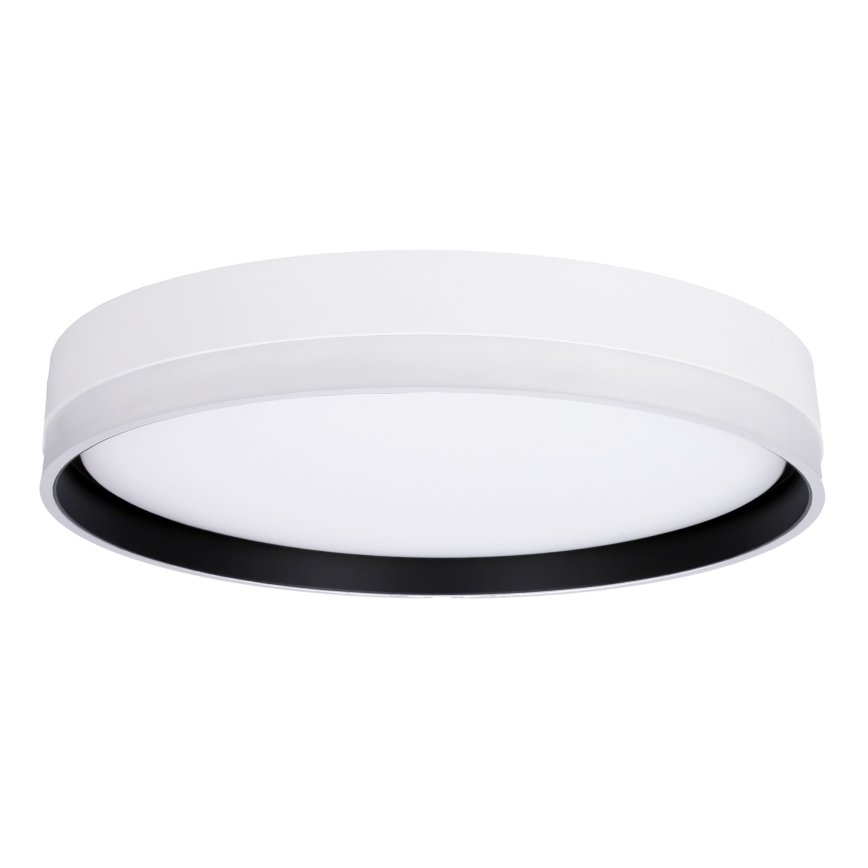 LED Stropné svietidlo FLORIDA LED/24W/230V biela