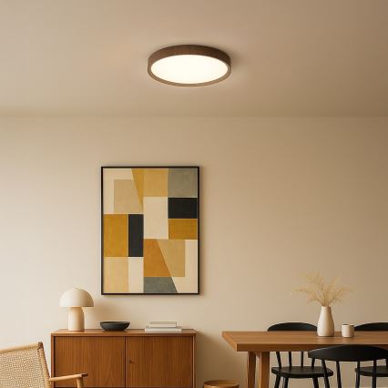 LED stropné svietidlo FOREST LED/24W/230V pr. 39 cm hnedé