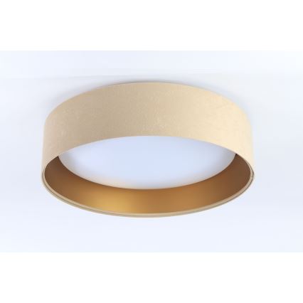 Svietidlo svieti na strope. Je valcovitého tvaru, s béžovým textilným tienidlom a zlatým kovovým lemom. Vnútorná časť je biela, difúzne rozptyľujúca svetlo.