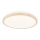 LED Stropné svietidlo GANDAVA LED/18W/230V