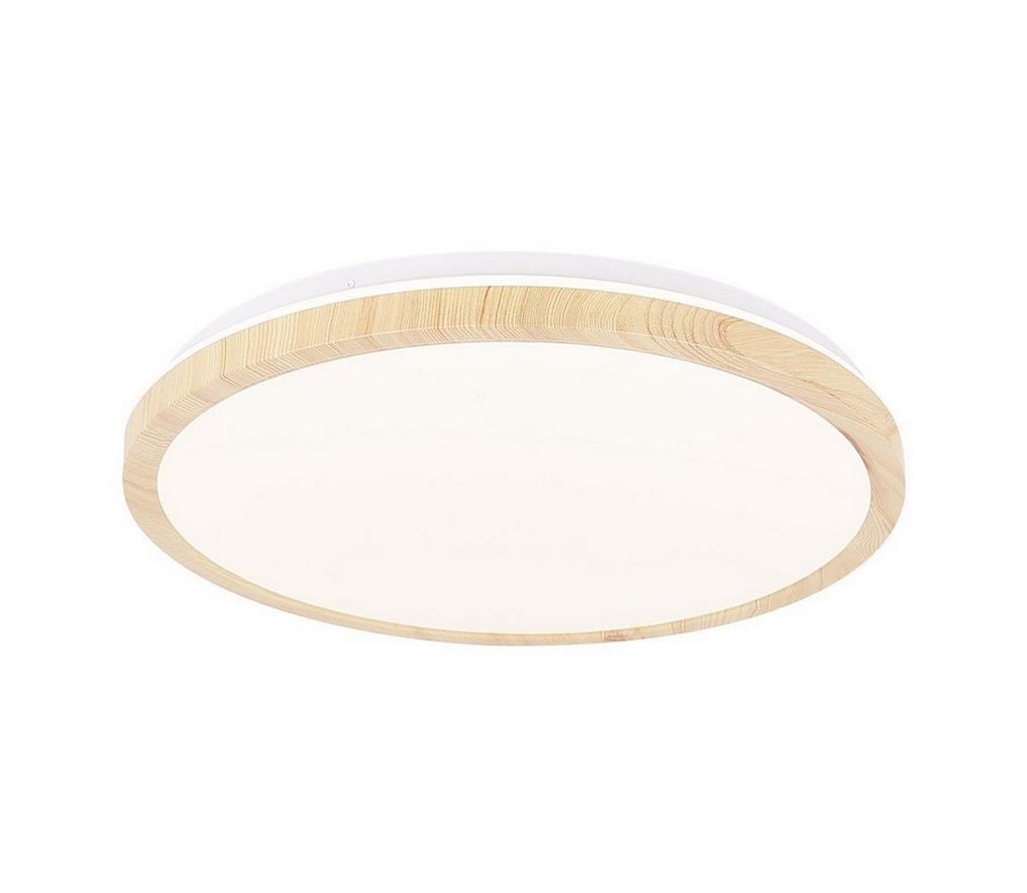 LED Stropné svietidlo GANDAVA LED/18W/230V