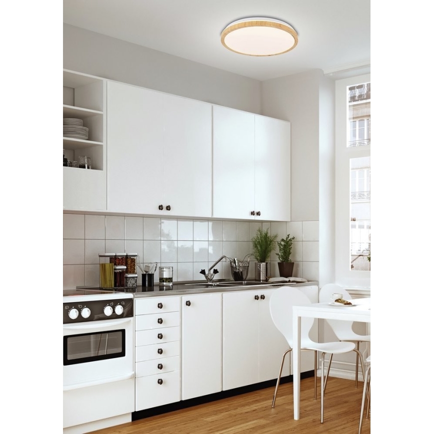 LED Stropné svietidlo GANDAVA LED/18W/230V