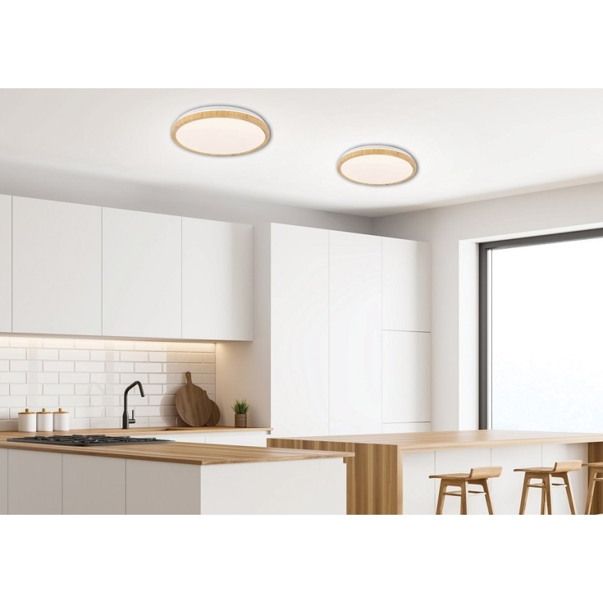LED Stropné svietidlo GANDAVA LED/18W/230V