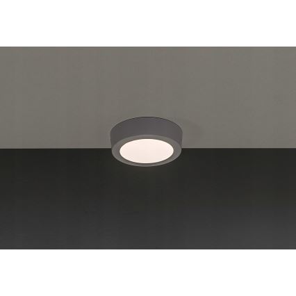 LED Stropné svietidlo GERRIT LED/6W/230V 3000K