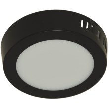 LED Stropné svietidlo GERRIT LED/6W/230V 4000K čierna