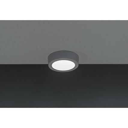 LED Stropné svietidlo GERRIT LED/6W/230V 4000K