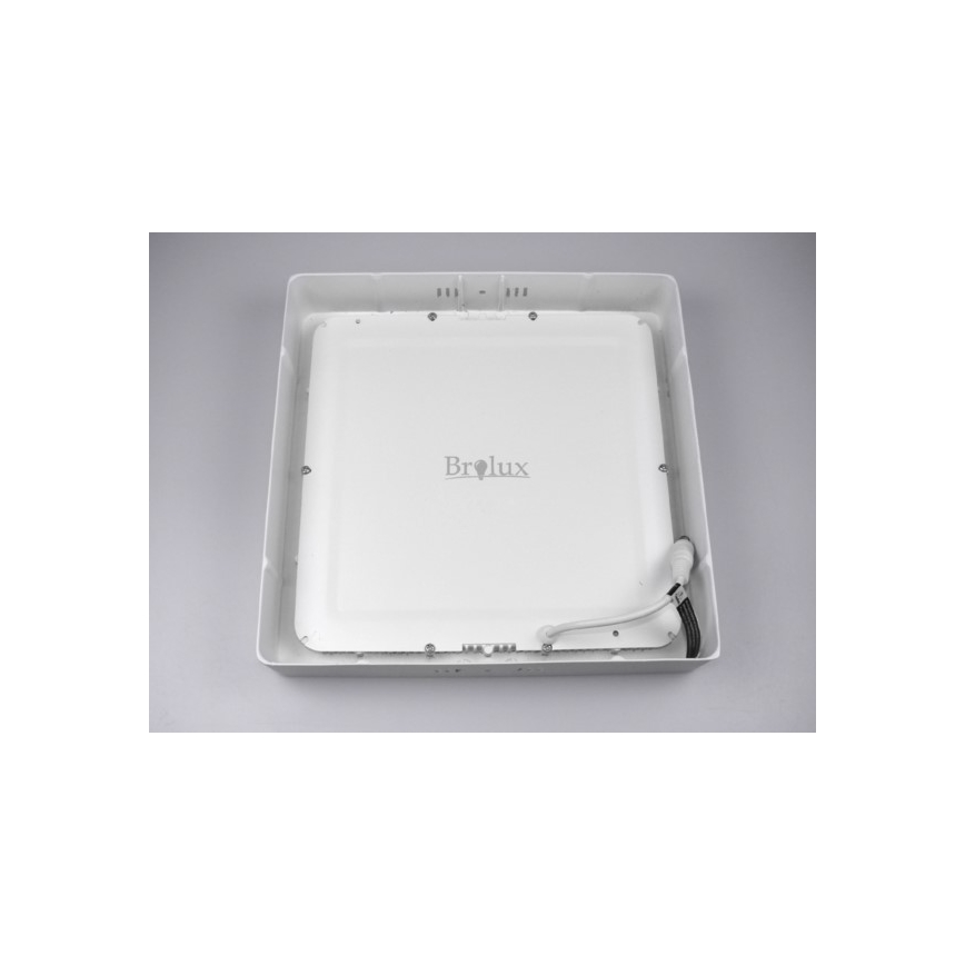 LED Stropné svietidlo GERRY LED/12W/230V 3000K biela