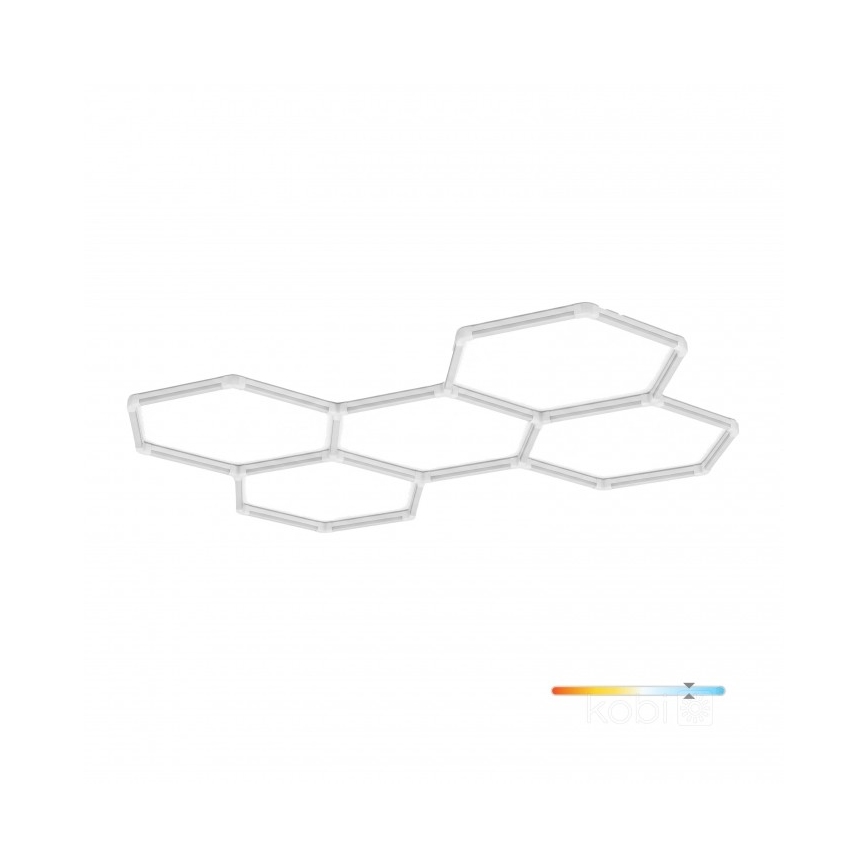LED stropné svietidlo HEXLINE LED/216W/230V 6500K 208x300 cm biela