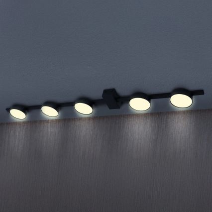 LED Stropné svietidlo JOY 5xGX53/6W/230V čierna