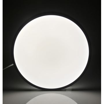 LED Stropné svietidlo KERN LED/15W/230V čierna