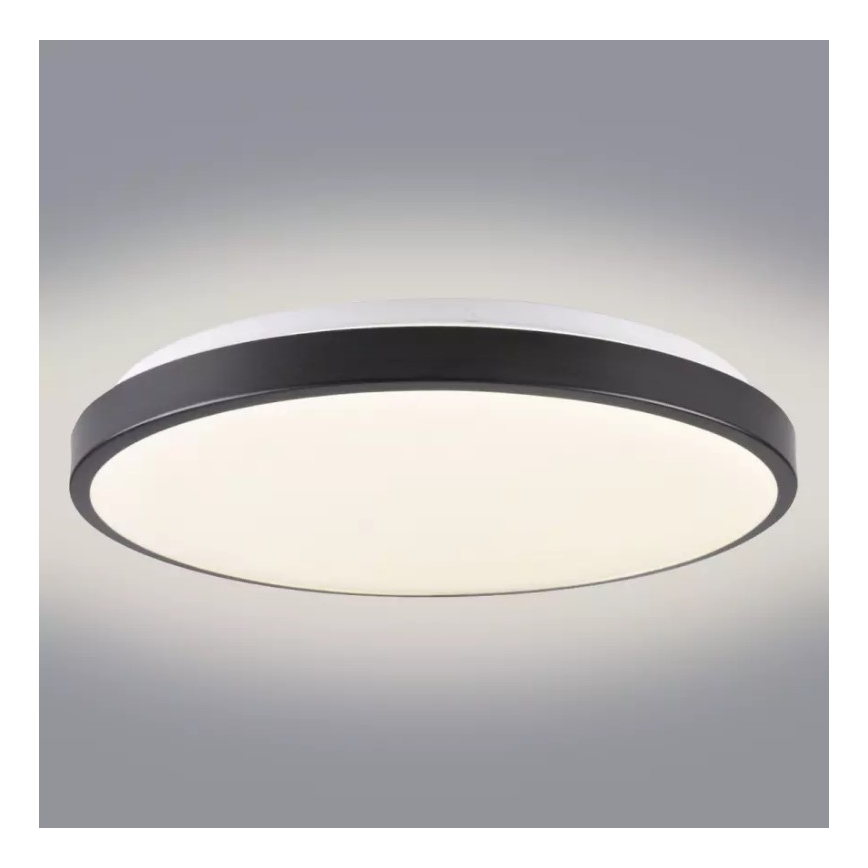 LED Stropné svietidlo KERN LED/24W/230V čierna