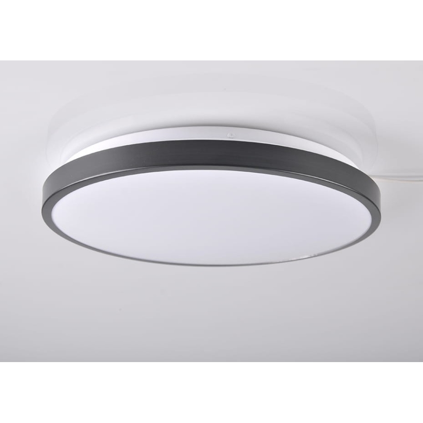 LED Stropné svietidlo KERN LED/24W/230V čierna