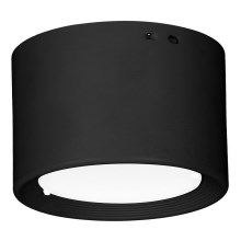 LED Stropné svietidlo LED/10W/230V čierna pr. 10 cm
