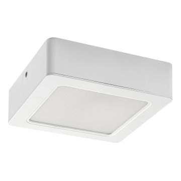 LED Stropné svietidlo LED/12W/230V 14,5 cm