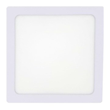 LED Stropné svietidlo LED/12W/230V 2700K 16,3x16,3 cm biela