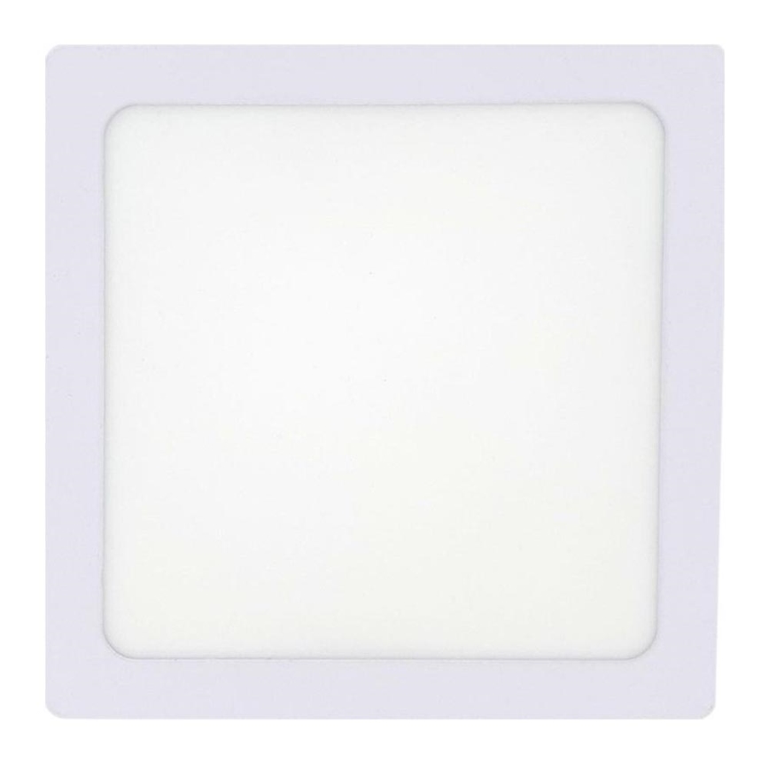 LED Stropné svietidlo LED/12W/230V 2700K 16,3x16,3 cm biela