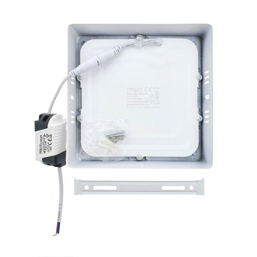 LED Stropné svietidlo LED/12W/230V 2700K