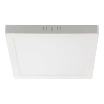 LED Stropné svietidlo LED/12W/230V 3000K 16,7x16,7 cm biela