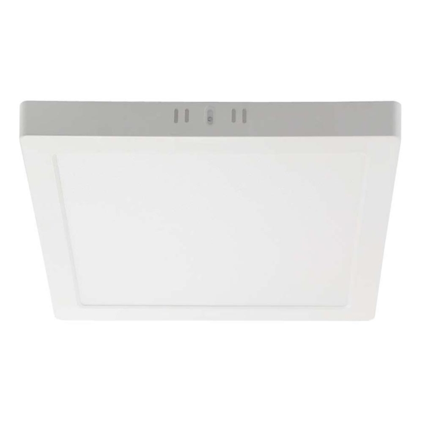 LED Stropné svietidlo LED/12W/230V 4000K 16,7x16,7 cm biela