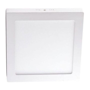 LED Stropné svietidlo LED/12W/230V 4000K 17,2x17,2 cm