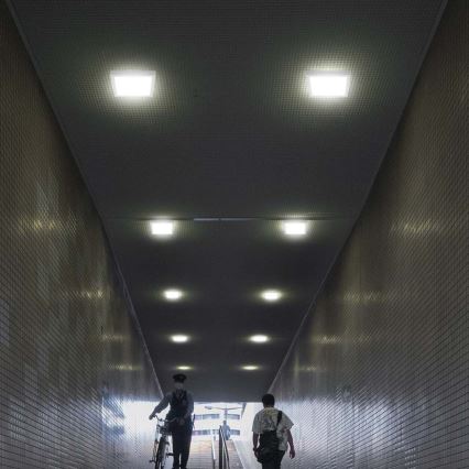 LED Stropné svietidlo LED/12W/230V 6500K 16,7x16,7 cm biela