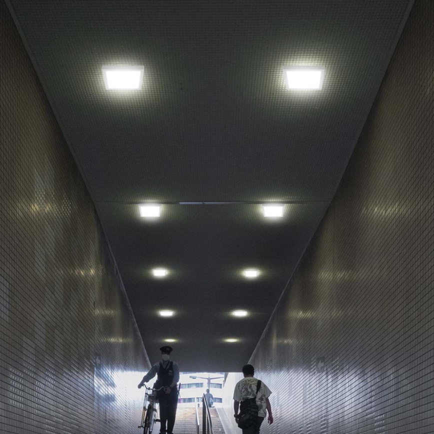 LED Stropné svietidlo LED/12W/230V 6500K 16,7x16,7 cm biela