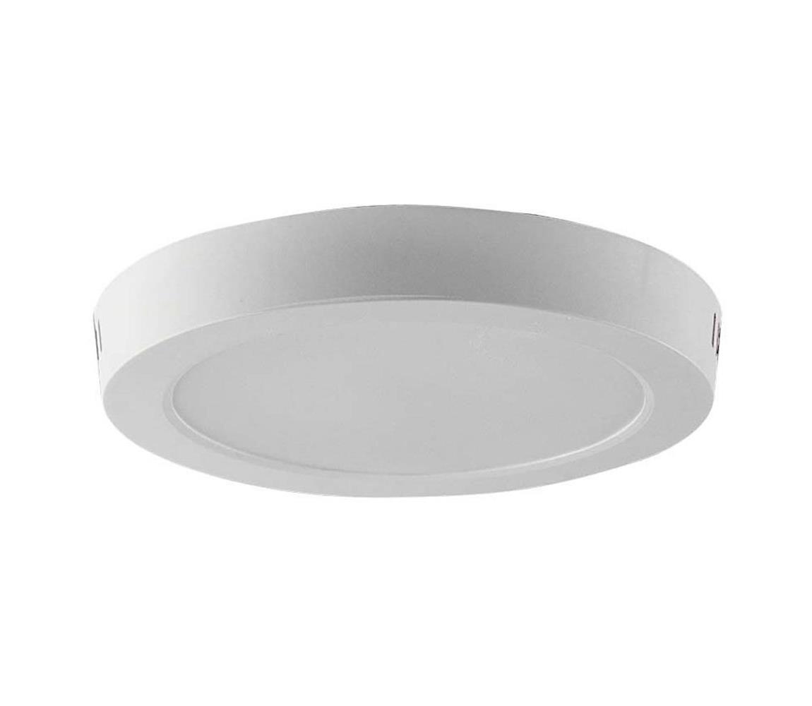 LED Stropné svietidlo LED/12W/230V 6500K biela 7875