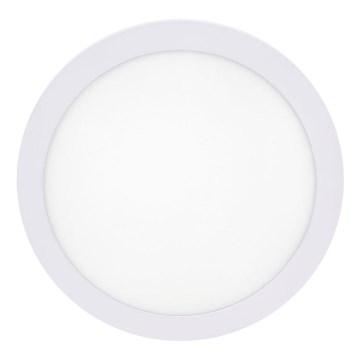 LED Stropné svietidlo LED/12W/230V