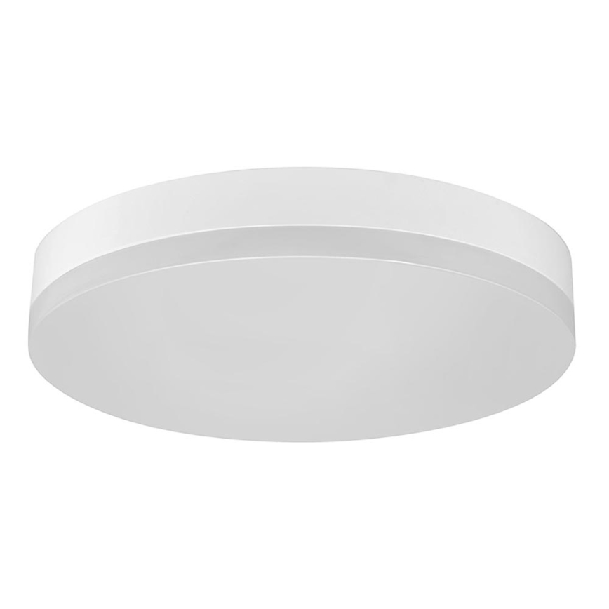 LED Stropné svietidlo LED/12W/230V IP44