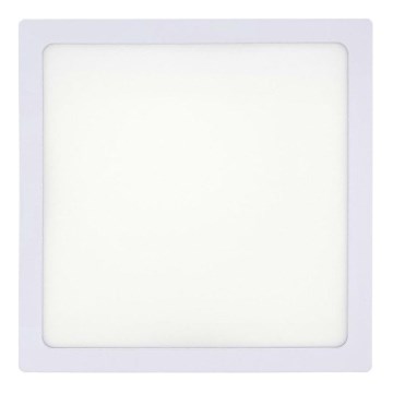 LED Stropné svietidlo LED/18W/230V 2700K 21x21 cm biela