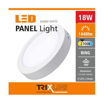 LED Stropné svietidlo LED/18W/230V 2700K