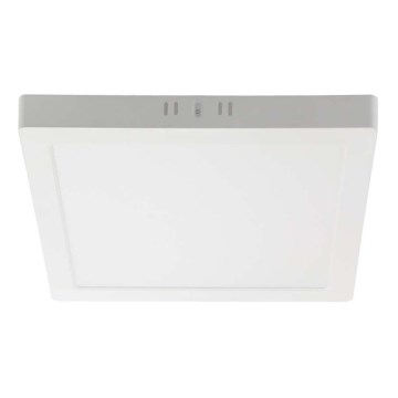 LED Stropné svietidlo LED/18W/230V 4000K 21,4x,21,4 cm biela