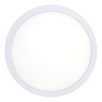 LED Stropné svietidlo LED/18W/230V 4200K pr. 21 cm biela