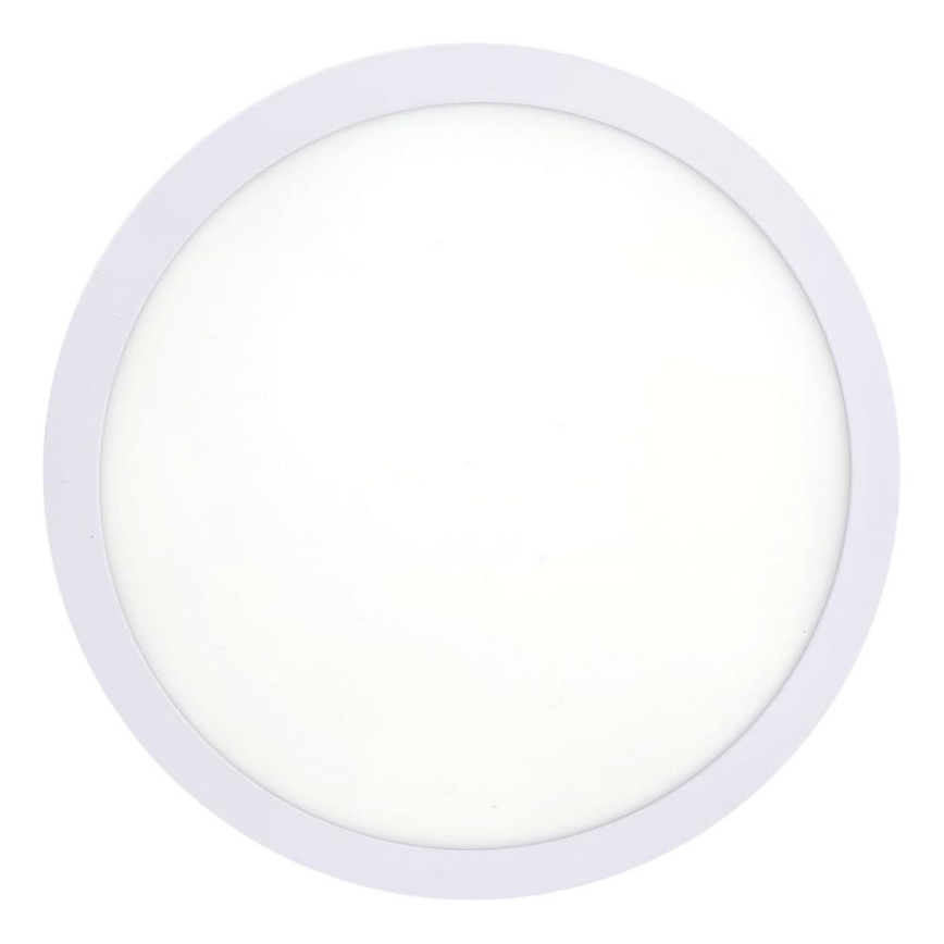 LED Stropné svietidlo LED/18W/230V 4200K pr. 21 cm biela