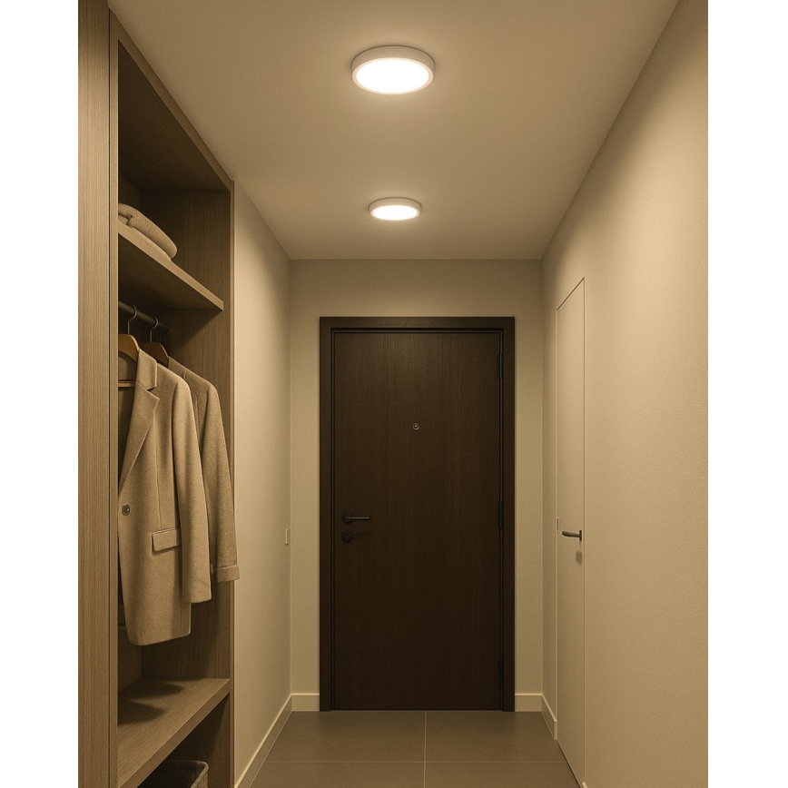 LED Stropné svietidlo LED/18W/230V 4200K pr. 21 cm biela