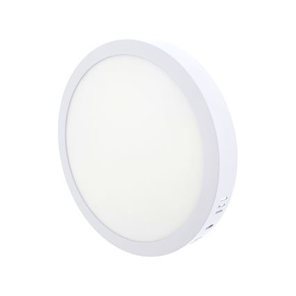 LED Stropné svietidlo LED/18W/230V 4200K pr. 21 cm biela