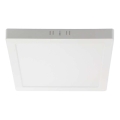 LED Stropné svietidlo LED/18W/230V 6500K 21,4x21,4 cm biela