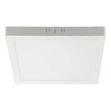 LED Stropné svietidlo LED/18W/230V 6500K 21,4x21,4 cm biela