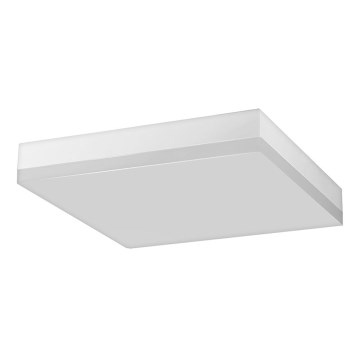 LED Stropné svietidlo LED/18W/230V IP44