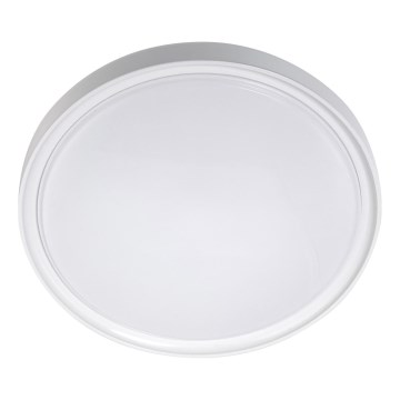LED Stropné svietidlo LED/18W/230V pr. 30 cm biela