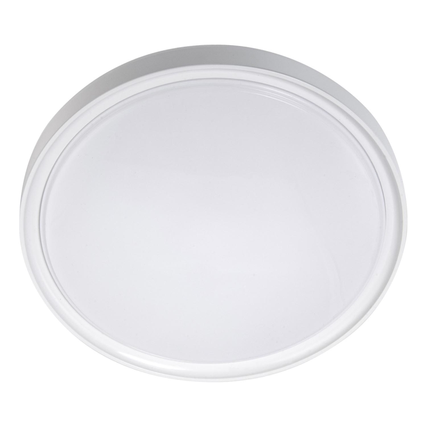 LED Stropné svietidlo LED/18W/230V pr. 30 cm biela