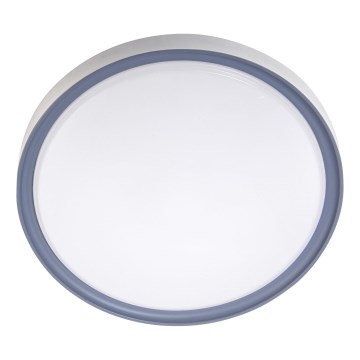 LED Stropné svietidlo LED/18W/230V pr. 30 cm biela/šedá