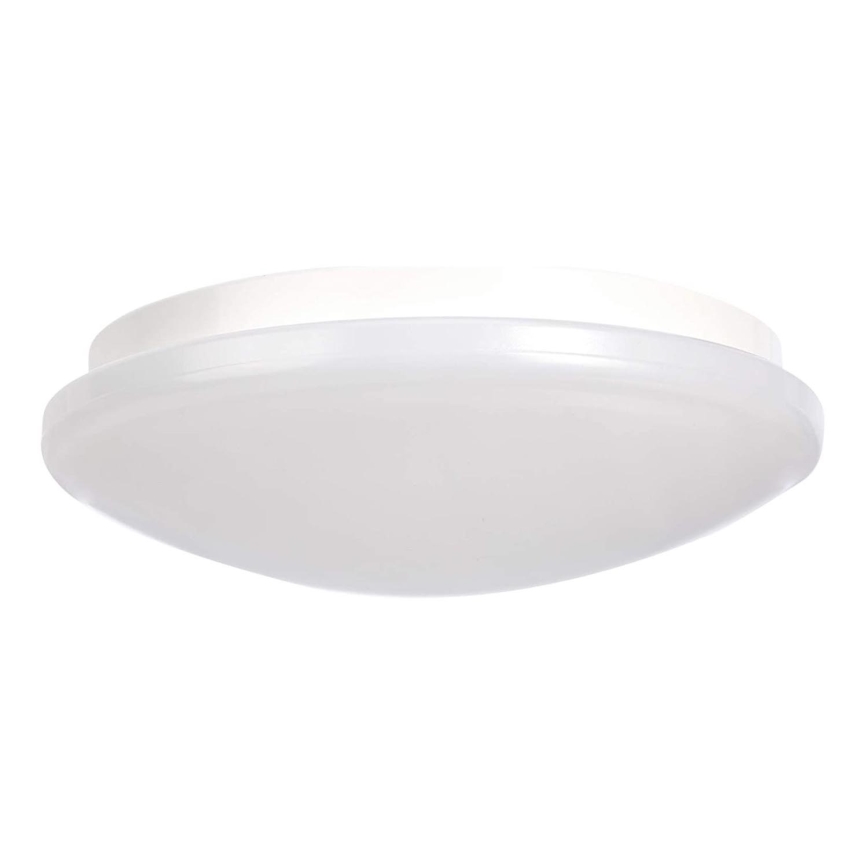 LED Stropné svietidlo LED/20W/230V 2700K