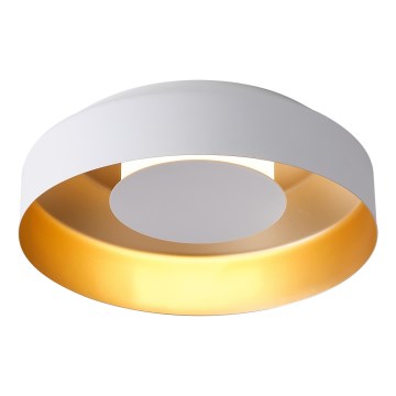 LED Stropné svietidlo LED/20W/230V 3000K biela