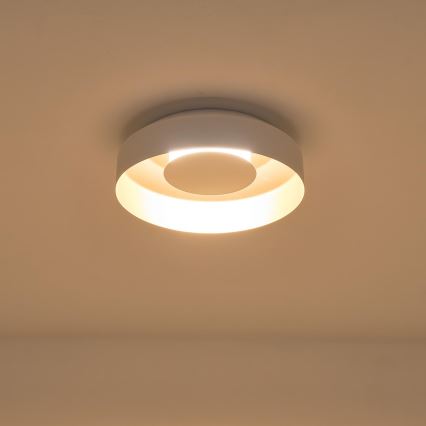 LED Stropné svietidlo LED/20W/230V 3000K biela