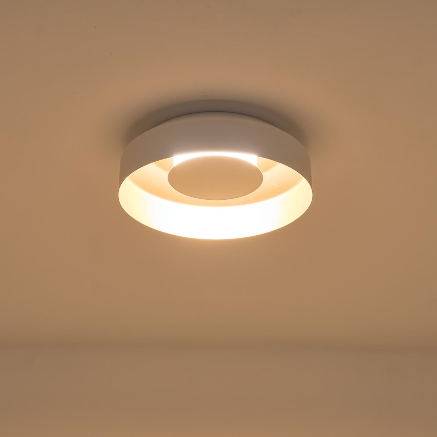 LED Stropné svietidlo LED/20W/230V 3000K biela