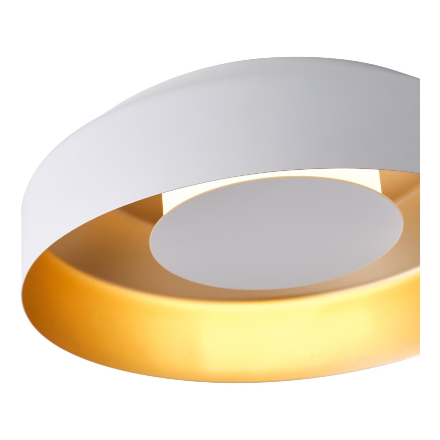 LED Stropné svietidlo LED/20W/230V 3000K biela
