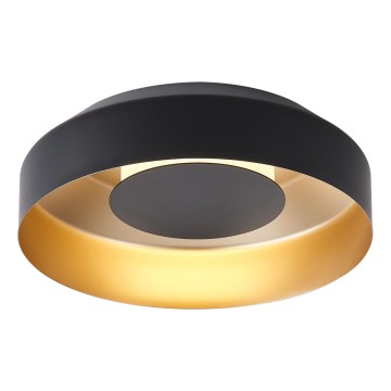 LED Stropné svietidlo LED/20W/230V 3000K čierna